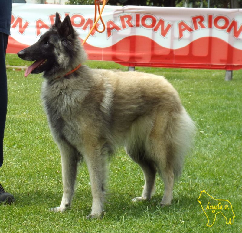 Perla De Fontenestas EXC5 abierta hemrbas